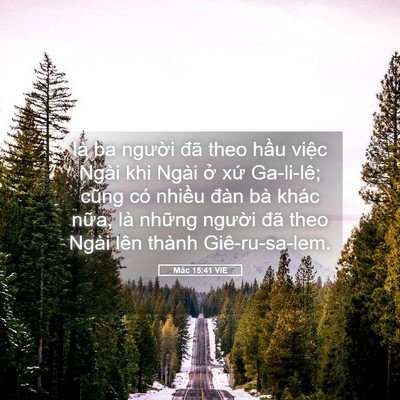 Picture 05 - Mác 15:41 VIE - là ba người đã theo hầu việc Ngài khi - Bible Verse Picture