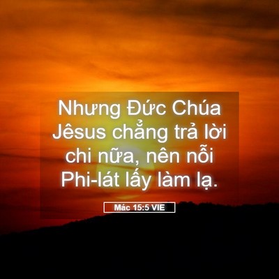Picture 05 - Mác 15:5 VIE - Nhưng Đức Chúa Jêsus chẳng trả lời - Bible Verse Picture