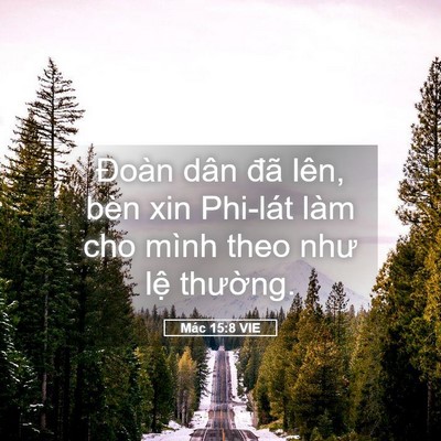 Picture 05 - Mác 15:8 VIE - Đoàn dân đã lên, bèn xin Phi-lát làm cho - Bible Verse Picture