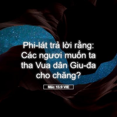 Picture 05 - Mác 15:9 VIE - Phi-lát trả lời rằng: Các ngươi muốn - Bible Verse Picture