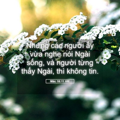 Picture 05 - Mác 16:11 VIE - Nhưng các người ấy vừa nghe nói Ngài - Bible Verse Picture