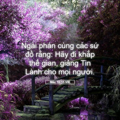 Picture 05 - Mác 16:15 VIE - Ngài phán cùng các sứ đồ rằng: Hãy - Bible Verse Picture