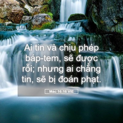 Picture 05 - Mác 16:16 VIE - Ai tin và chịu phép báp-tem, sẽ được - Bible Verse Picture
