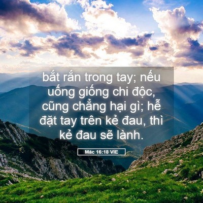 Picture 05 - Mác 16:18 VIE - bắt rắn trong tay; nếu uống giống chi - Bible Verse Picture