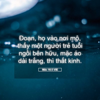 Picture 05 - Mác 16:5 VIE - Đoạn, họ vào nơi mộ, thấy một - Bible Verse Picture