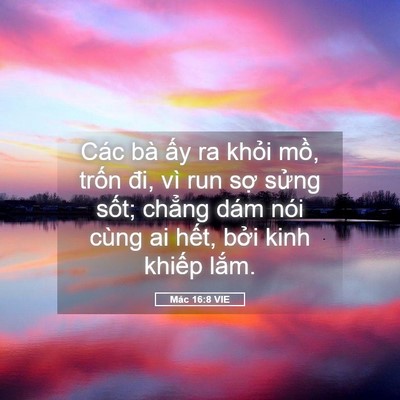 Picture 05 - Mác 16:8 VIE - Các bà ấy ra khỏi mồ, trốn đi, vì run - Bible Verse Picture