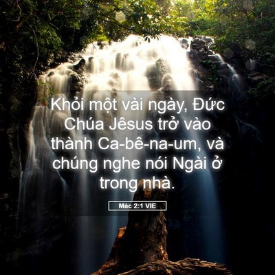 Picture 05 - Mác 2:1 VIE - Khỏi một vài ngày, Đức Chúa Jêsus - Bible Verse Picture