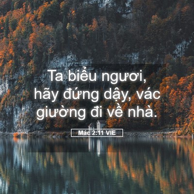 Picture 05 - Mác 2:11 VIE - Ta biểu ngươi, hãy đứng dậy, vác - Bible Verse Picture