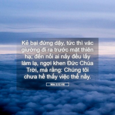 Picture 05 - Mác 2:12 VIE - Kẻ bại đứng dậy, tức thì vác - Bible Verse Picture