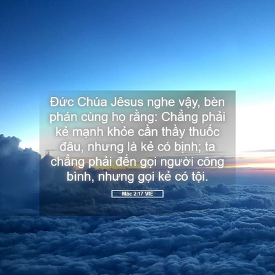 Picture 05 - Mác 2:17 VIE - Đức Chúa Jêsus nghe vậy, bèn phán cùng - Bible Verse Picture