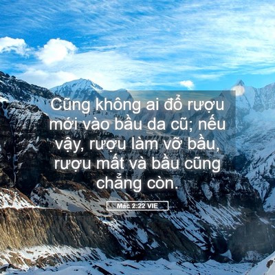 Picture 05 - Mác 2:22 VIE - Cũng không ai đổ rượu mới vào bầu da - Bible Verse Picture