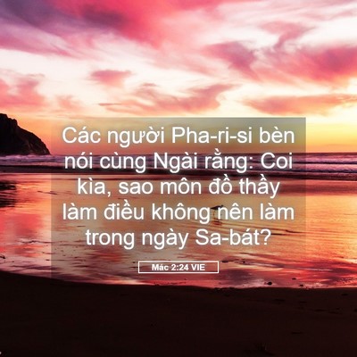 Picture 05 - Mác 2:24 VIE - Các người Pha-ri-si bèn nói cùng Ngài - Bible Verse Picture