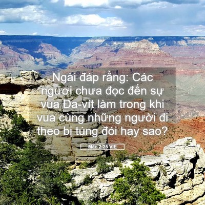 Picture 05 - Mác 2:25 VIE - Ngài đáp rằng: Các ngươi chưa đọc - Bible Verse Picture