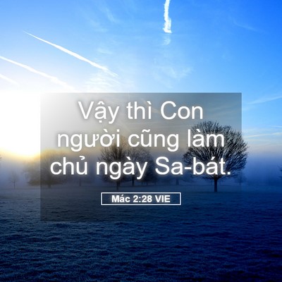 Picture 05 - Mác 2:28 VIE - Vậy thì Con người cũng làm chủ ngày - Bible Verse Picture