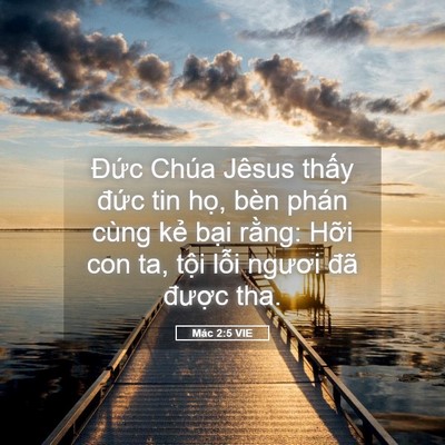 Picture 05 - Mác 2:5 VIE - Đức Chúa Jêsus thấy đức tin họ, bèn - Bible Verse Picture