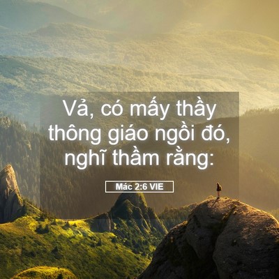 Picture 05 - Mác 2:6 VIE - Vả, có mấy thầy thông giáo ngồi đó, - Bible Verse Picture