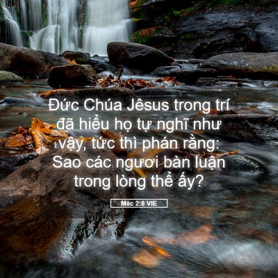 Picture 05 - Mác 2:8 VIE - Đức Chúa Jêsus trong trí đã hiểu họ - Bible Verse Picture