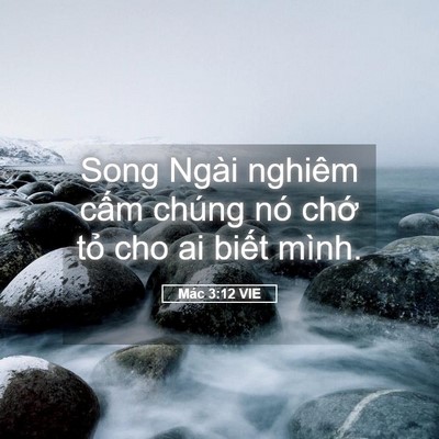Picture 05 - Mác 3:12 VIE - Song Ngài nghiêm cấm chúng nó chớ tỏ - Bible Verse Picture