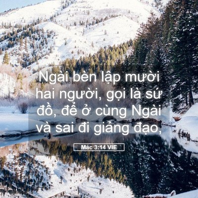 Picture 05 - Mác 3:14 VIE - Ngài bèn lập mười hai người, gọi là - Bible Verse Picture