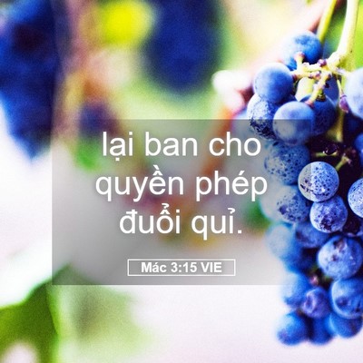 Picture 05 - Mác 3:15 VIE - lại ban cho quyền phép đuổi - Bible Verse Picture