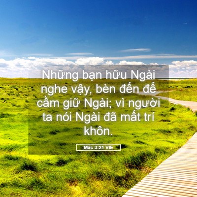 Picture 05 - Mác 3:21 VIE - Những bạn hữu Ngài nghe vậy, bèn đến - Bible Verse Picture