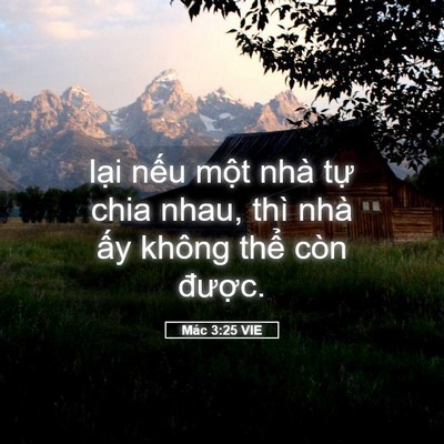 Picture 05 - Mác 3:25 VIE - lại nếu một nhà tự chia nhau, thì nhà - Bible Verse Picture