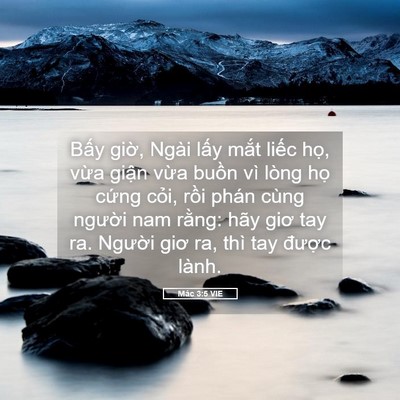 Picture 05 - Mác 3:5 VIE - Bấy giờ, Ngài lấy mắt liếc họ, vừa - Bible Verse Picture