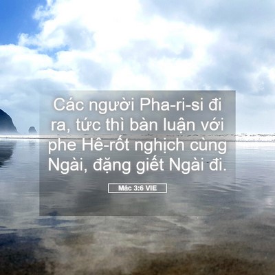 Picture 05 - Mác 3:6 VIE - Các người Pha-ri-si đi ra, tức thì bàn - Bible Verse Picture