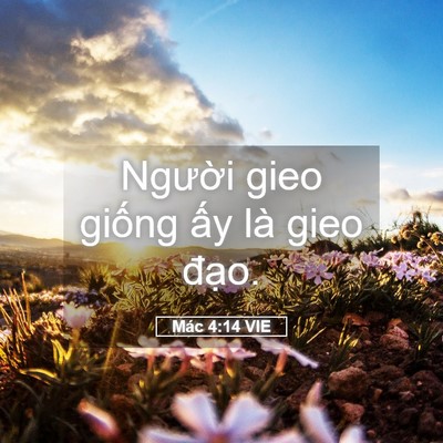 Picture 05 - Mác 4:14 VIE - Người gieo giống ấy là gieo - Bible Verse Picture