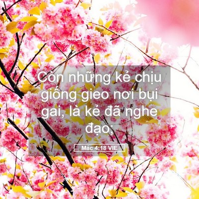 Picture 05 - Mác 4:18 VIE - Còn những kẻ chịu giống gieo nơi bụi - Bible Verse Picture