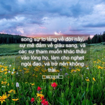 Picture 05 - Mác 4:19 VIE - song sự lo lắng về đời nầy, sự mê - Bible Verse Picture