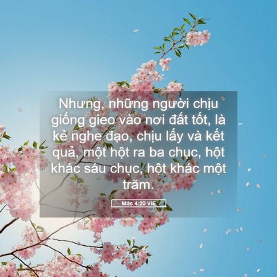 Picture 05 - Mác 4:20 VIE - Nhưng, những người chịu giống gieo vào - Bible Verse Picture
