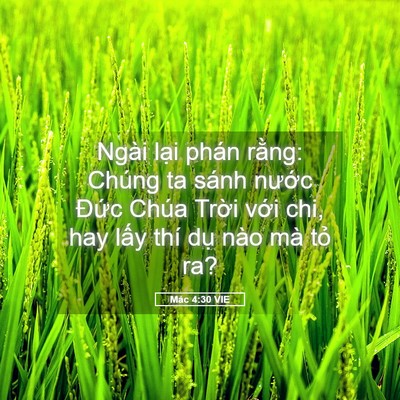 Picture 05 - Mác 4:30 VIE - Ngài lại phán rằng: Chúng ta sánh nước - Bible Verse Picture