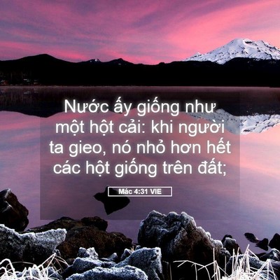 Picture 05 - Mác 4:31 VIE - Nước ấy giống như một hột cải: khi - Bible Verse Picture
