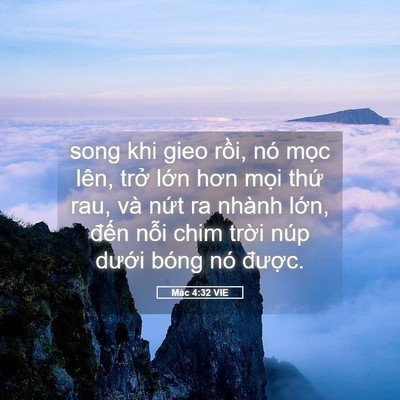 Picture 05 - Mác 4:32 VIE - song khi gieo rồi, nó mọc lên, trở lớn - Bible Verse Picture