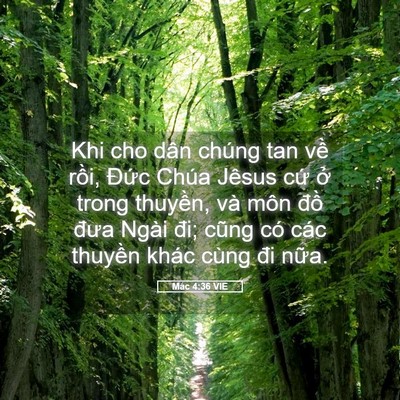 Picture 05 - Mác 4:36 VIE - Khi cho dân chúng tan về rồi, Đức Chúa - Bible Verse Picture