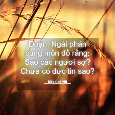 Picture 05 - Mác 4:40 VIE - Đoạn, Ngài phán cùng môn đồ rằng: Sao - Bible Verse Picture