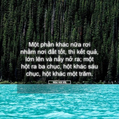 Picture 05 - Mác 4:8 VIE - Một phần khác nữa rơi nhằm nơi đất - Bible Verse Picture
