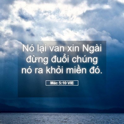 Picture 05 - Mác 5:10 VIE - Nó lại van xin Ngài đừng đuổi chúng - Bible Verse Picture