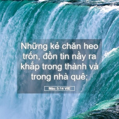 Picture 05 - Mác 5:14 VIE - Những kẻ chăn heo trốn, đồn tin nầy - Bible Verse Picture