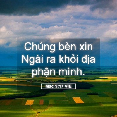 Picture 05 - Mác 5:17 VIE - Chúng bèn xin Ngài ra khỏi địa phận - Bible Verse Picture