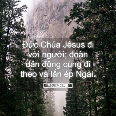 Picture 05 - Mác 5:24 VIE - Đức Chúa Jêsus đi với người; đoàn - Bible Verse Picture