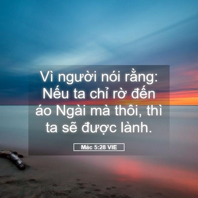 Picture 05 - Mác 5:28 VIE - Vì người nói rằng: Nếu ta chỉ rờ - Bible Verse Picture