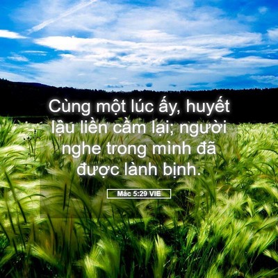 Picture 05 - Mác 5:29 VIE - Cùng một lúc ấy, huyết lậu liền cầm - Bible Verse Picture