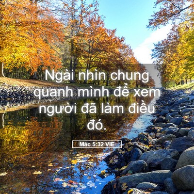 Picture 05 - Mác 5:32 VIE - Ngài nhìn chung quanh mình để xem người - Bible Verse Picture