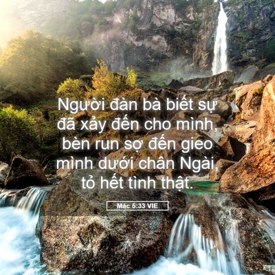 Picture 05 - Mác 5:33 VIE - Người đàn bà biết sự đã xảy đến - Bible Verse Picture