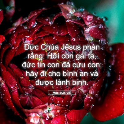 Picture 05 - Mác 5:34 VIE - Đức Chúa Jêsus phán rằng: Hỡi con gái - Bible Verse Picture