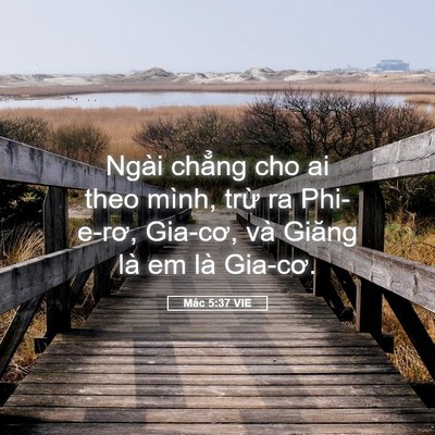 Picture 05 - Mác 5:37 VIE - Ngài chẳng cho ai theo mình, trừ ra - Bible Verse Picture