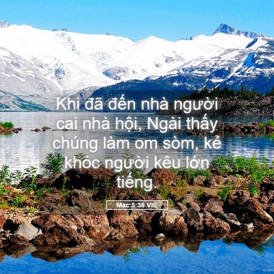 Picture 05 - Mác 5:38 VIE - Khi đã đến nhà người cai nhà hội, - Bible Verse Picture