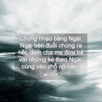 Picture 05 - Mác 5:40 VIE - Chúng nhạo báng Ngài. Ngài bèn đuổi - Bible Verse Picture